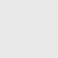 Белый (RAL-9016) 1 +₽300.0