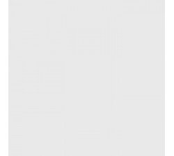 Белый (RAL-9016) 1 +₽300.0